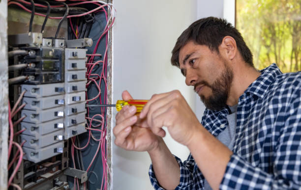 Best Residential Electrician Services  in River Rouge, MI